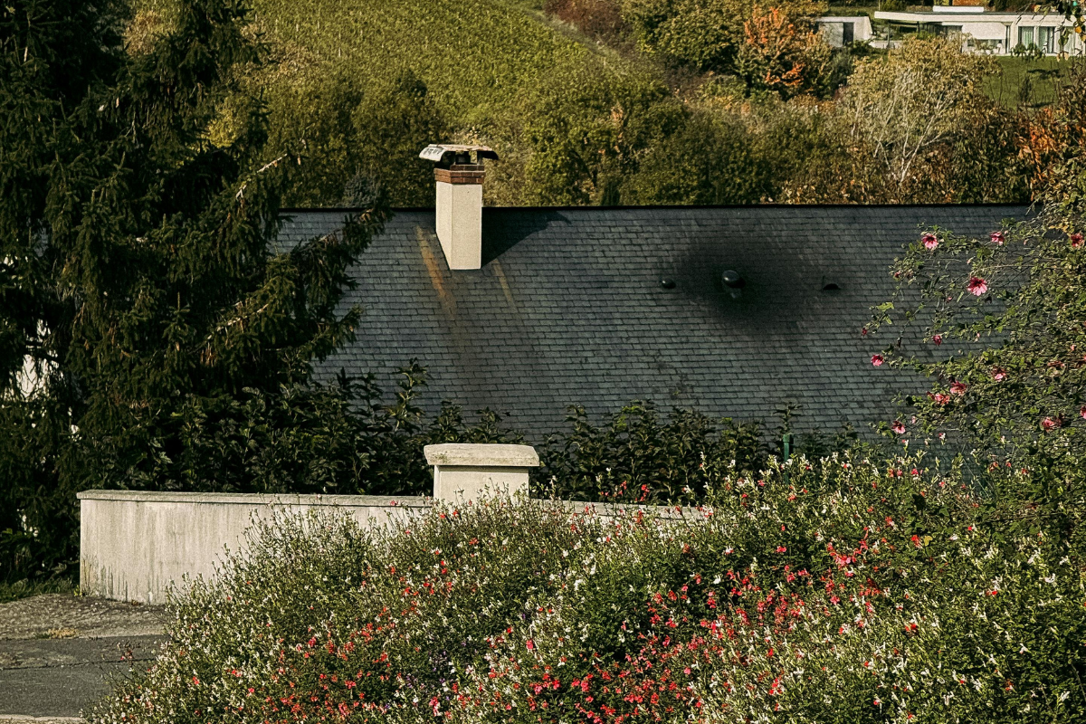 Une parenthèse nature en Normandie : l’art de ralentir au cœur de la campagne
